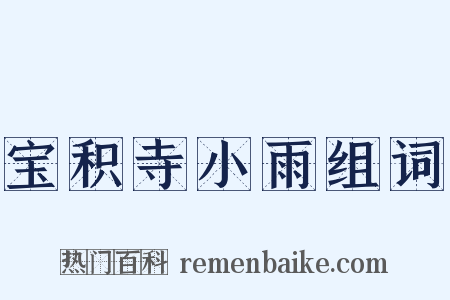 宝积寺小雨组词是什么意思的图片